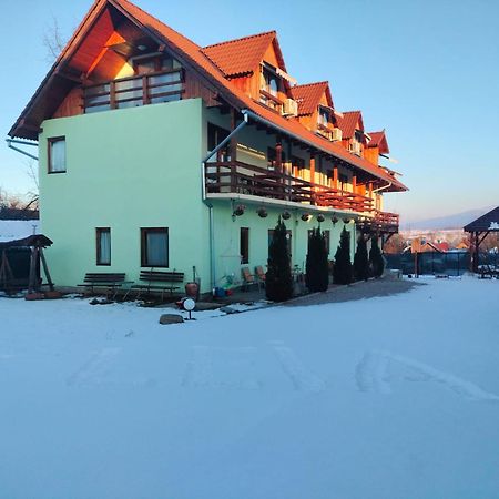 Pensiunea Leia Transfagarasan Cîrţişoara Dış mekan fotoğraf