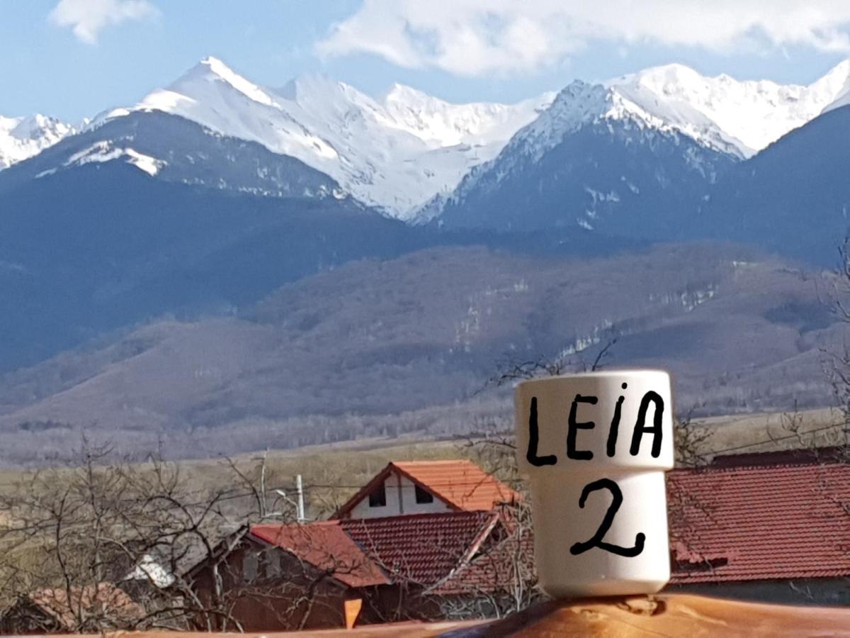 Pensiunea Leia Transfagarasan Cîrţişoara Dış mekan fotoğraf