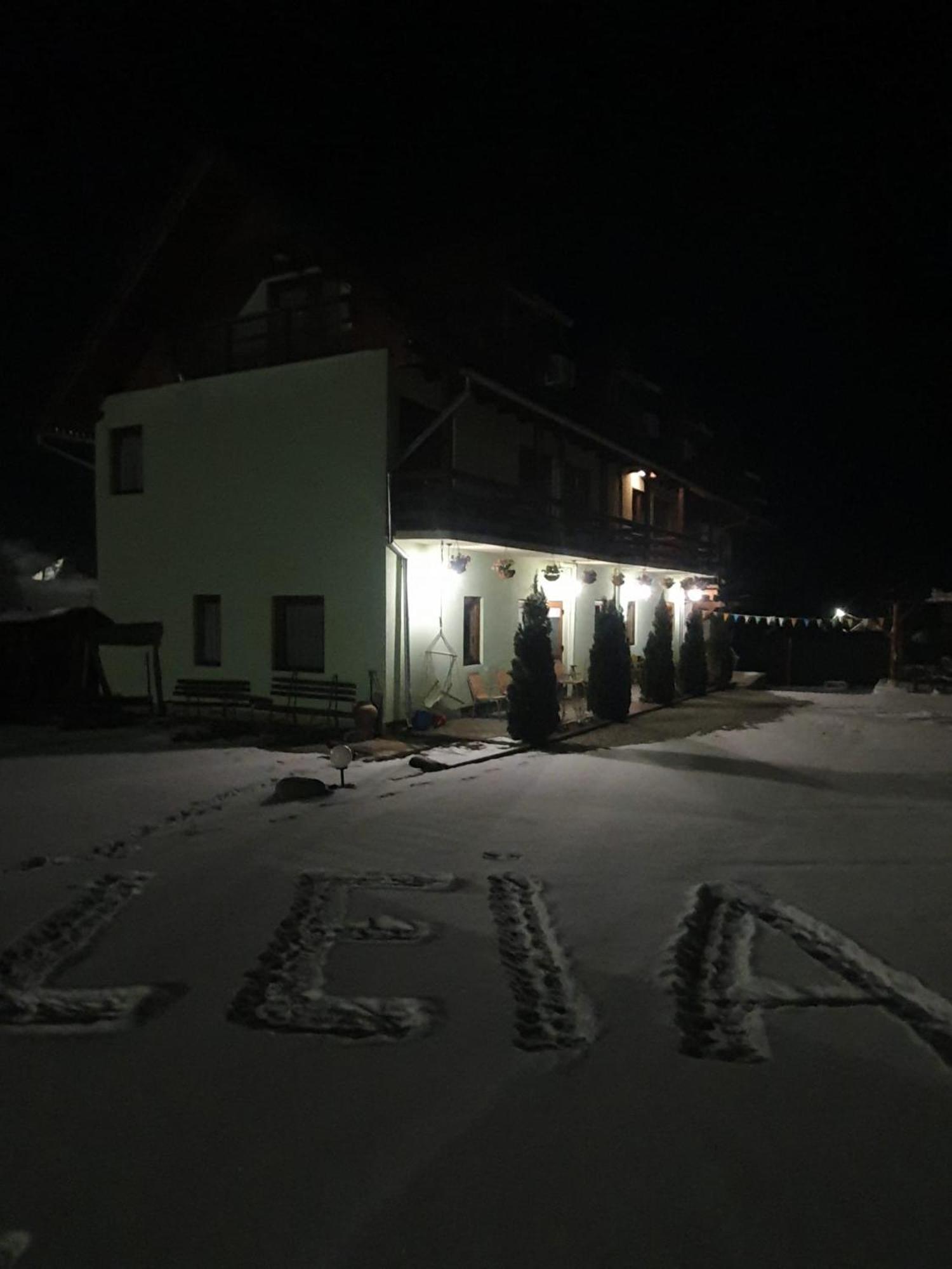Pensiunea Leia Transfagarasan Cîrţişoara Dış mekan fotoğraf